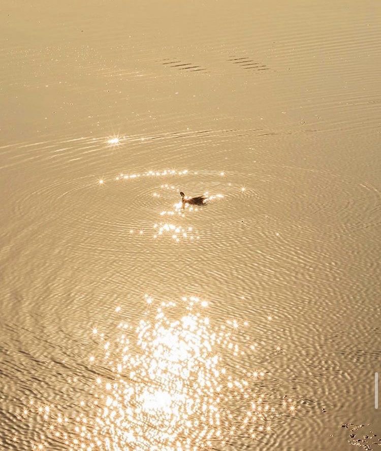 Bikini at BÄRESOUL in Mechanicsburg, PA