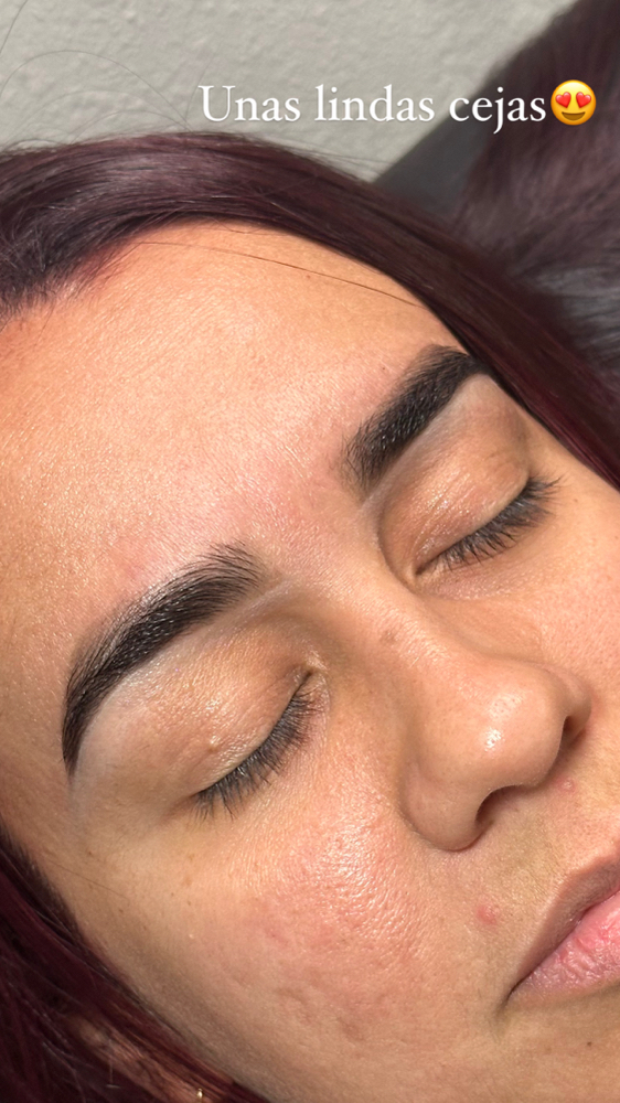 Depilación de cejas at DariStudio in Dunwoody, GA