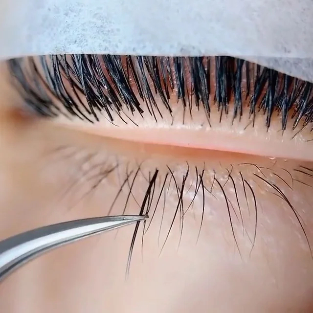 Bottom Lashes