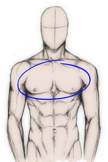 Men’s Chest