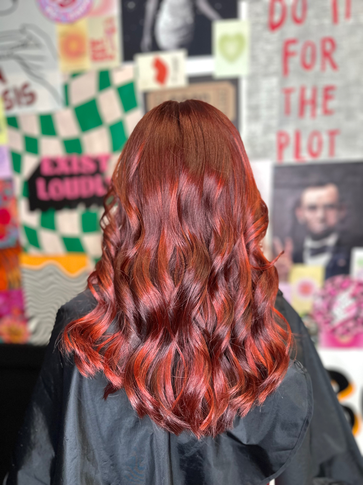 All Over Color at Haven & Mane in Crab Orchard, WV