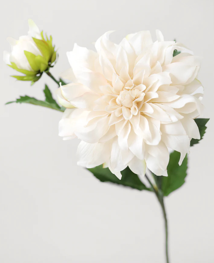 Double Process Blonde Touch Up