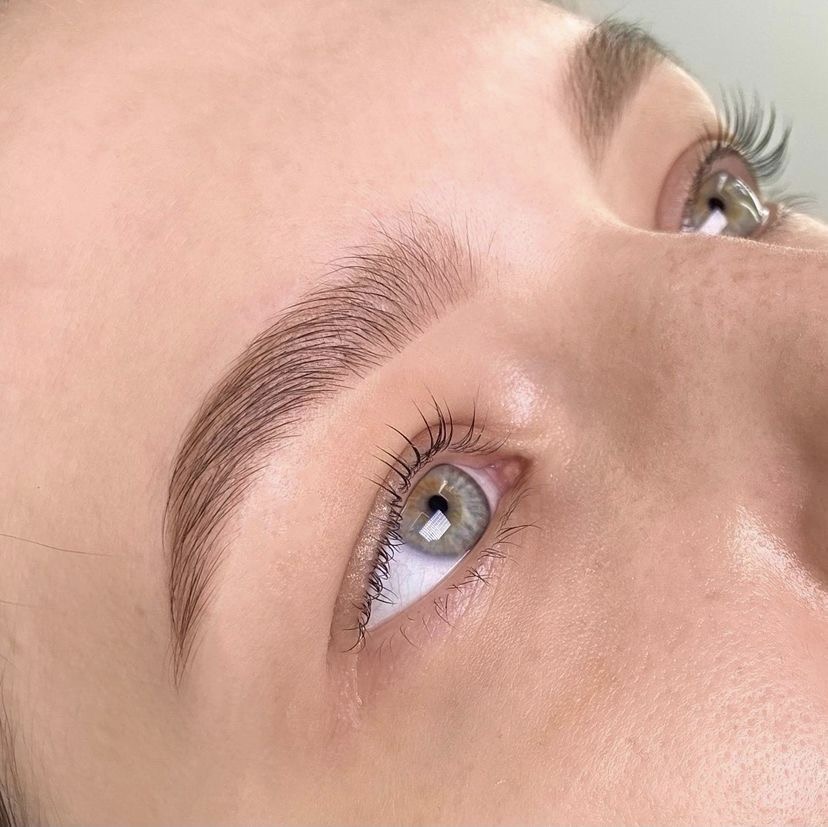 Brow Wax + Tint