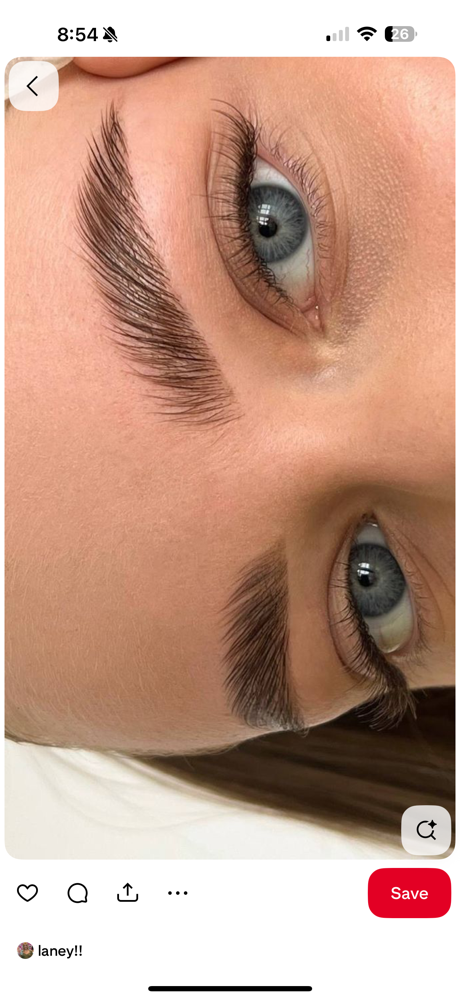 Brow Lamination + Tint