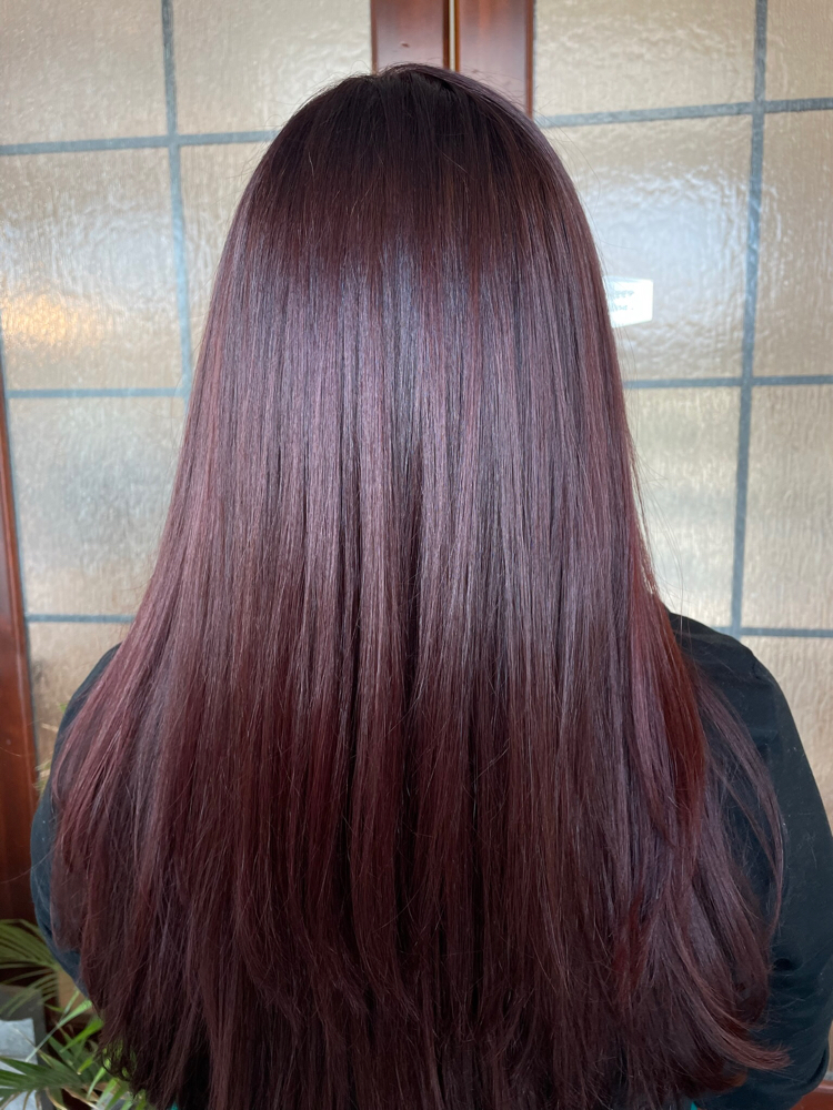All Over Color & Haircut