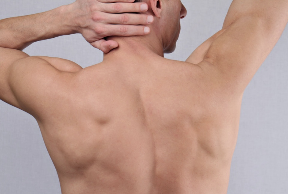 Back + Shoulders