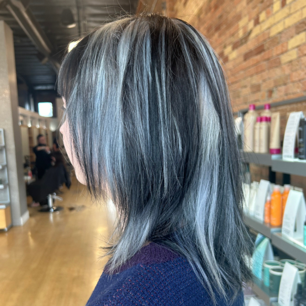 Fantasy Color/Color Correction at 5D Salon in Salt Lake City, UT