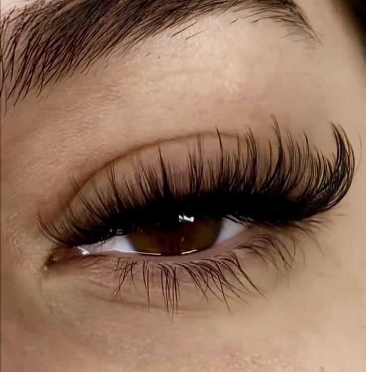 Volume Lash Extensions
