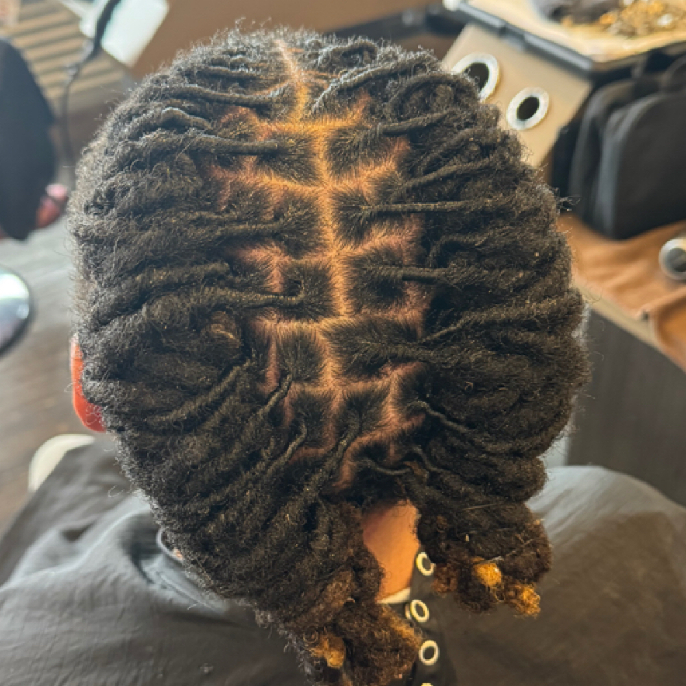 Basic Retwist + Style at ZMDesigns Hair in Tomah, WI