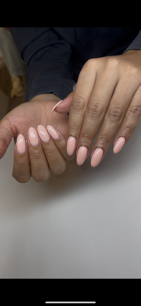 Classy Cassie (Tier 1) at Daisy Did That in Jacksonville, FL