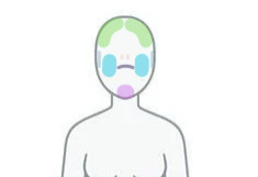 3 Facial Features. Excludes Eyebrow