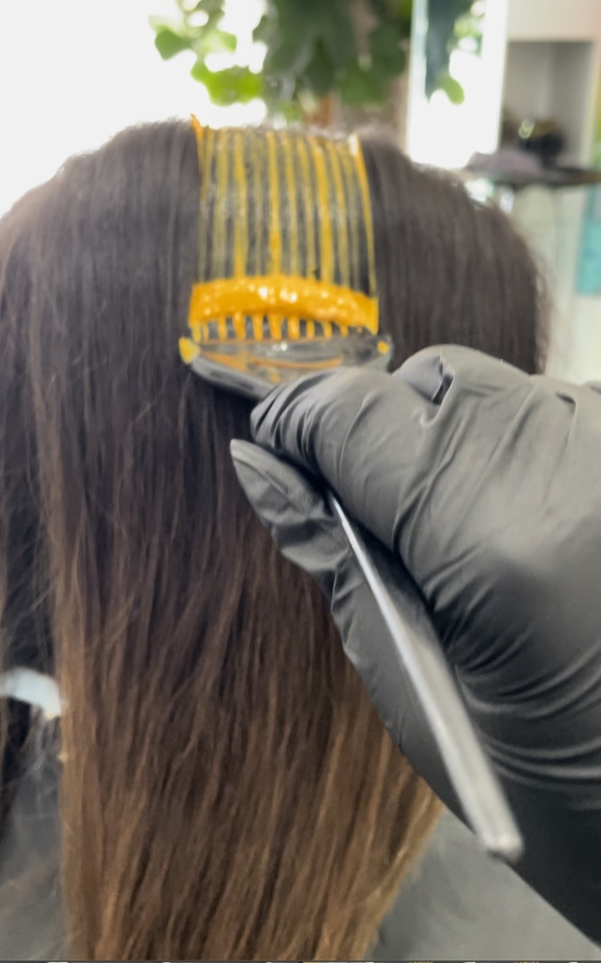 Single Process Root Touchup