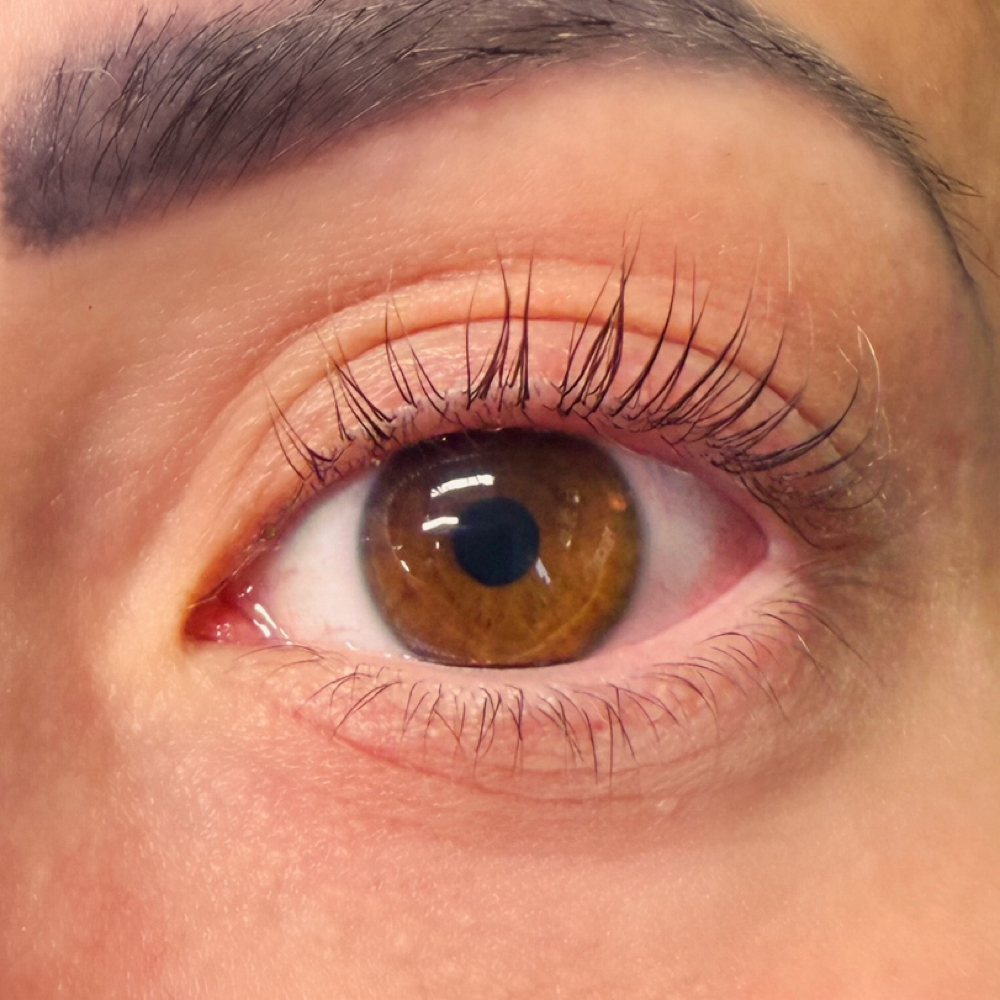 Lash Lift at The Wink Beauty in Hoffman Estates, IL