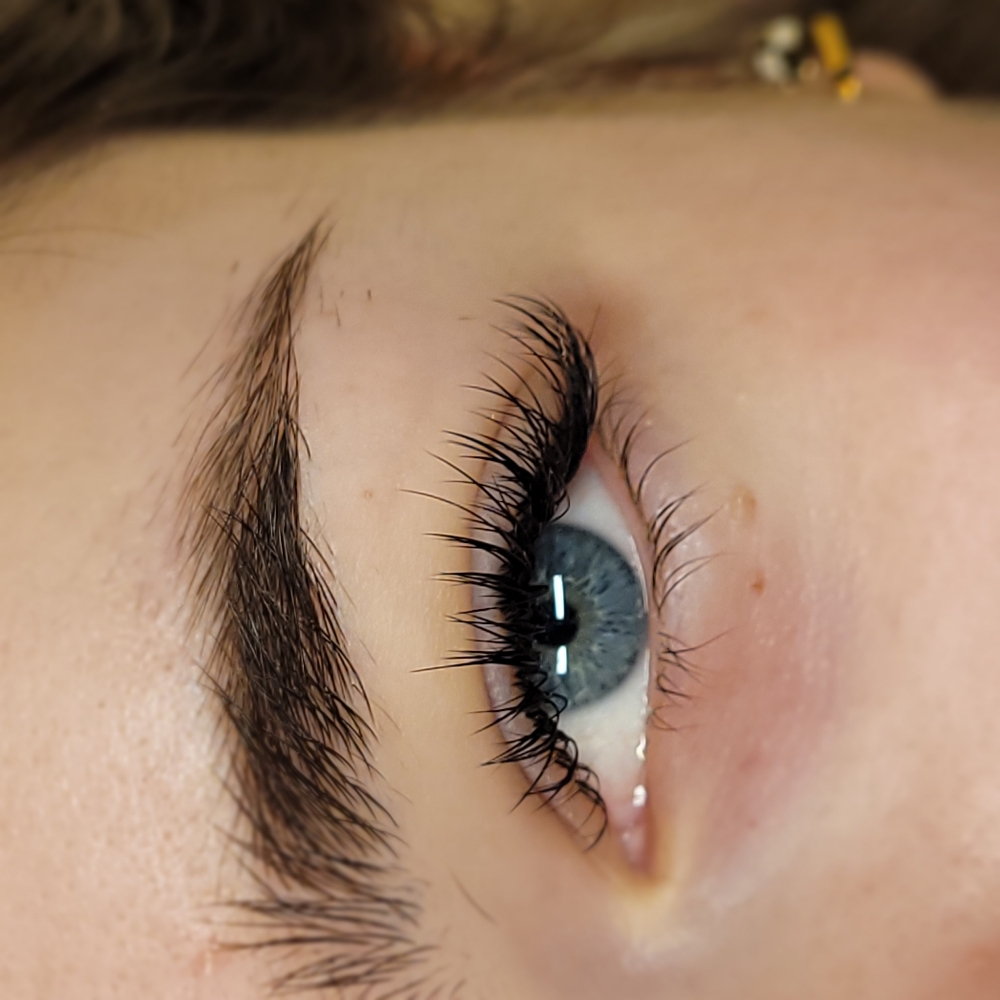 Lash Consultation