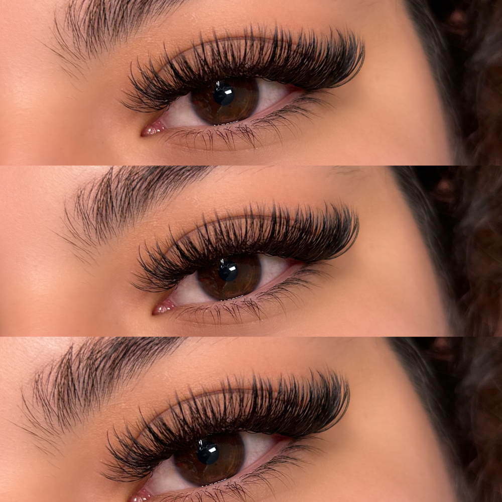 Light Volume