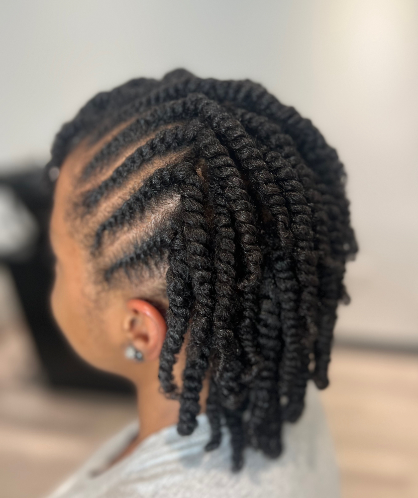 Natural Style Braids/twist/coils