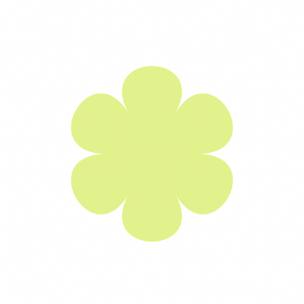 First Timer Facial at Skin Sanctuary Co in Marietta, GA