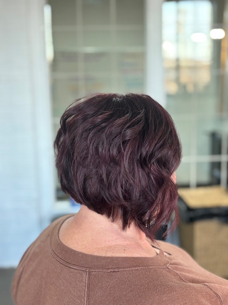 Women's Shampoo, Cut, and Style