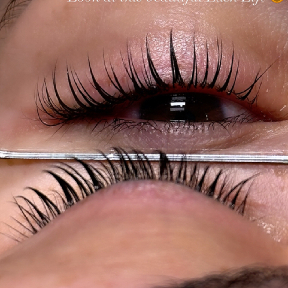 Korean Lash Lift & Tint at Real Beauty By Angie in Downey, CA