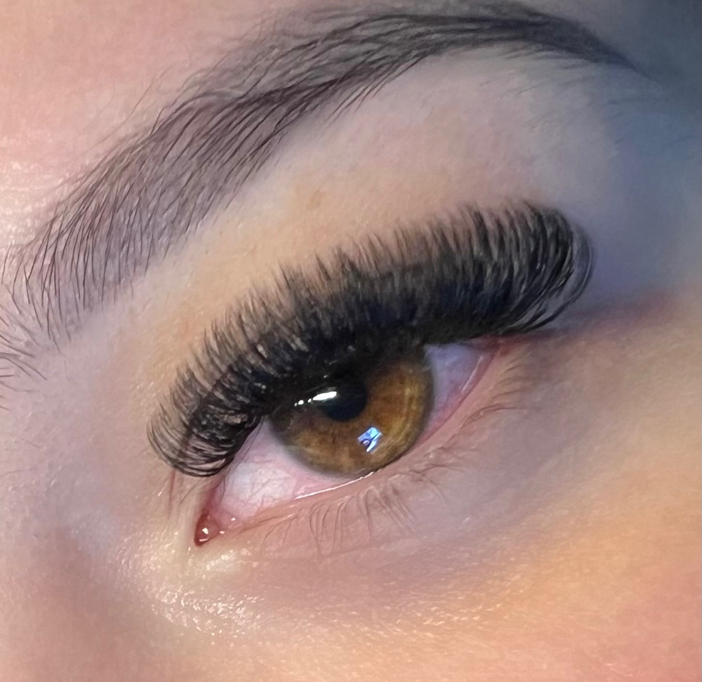 Volume Lashes