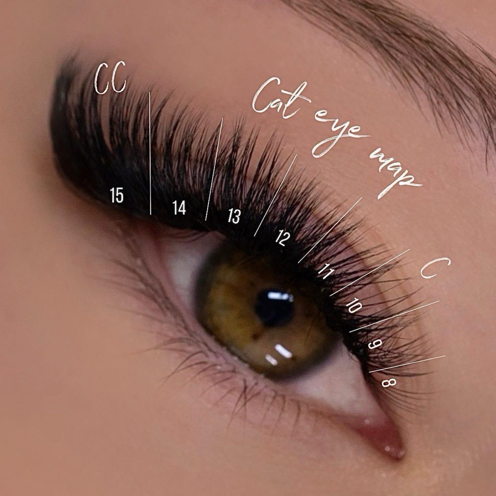 Cat Eye Full Set Larg