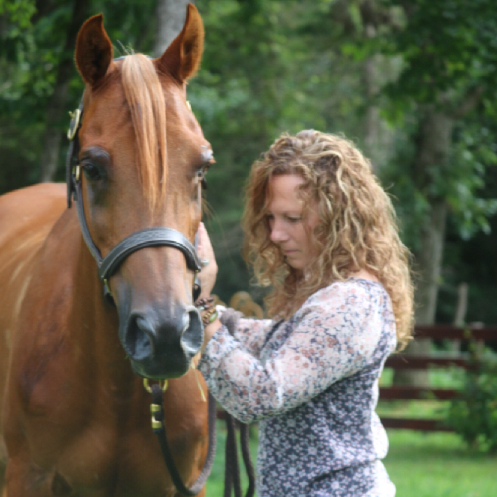 Animal Reiki at White Sage Day Spa in Dubuque, IA