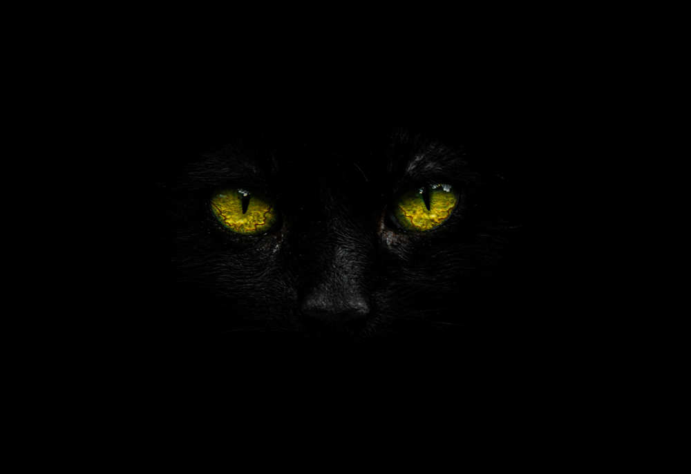 Cat Eye
