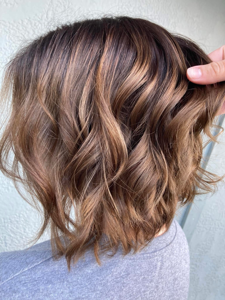 Balayage (above shoulders/thin)