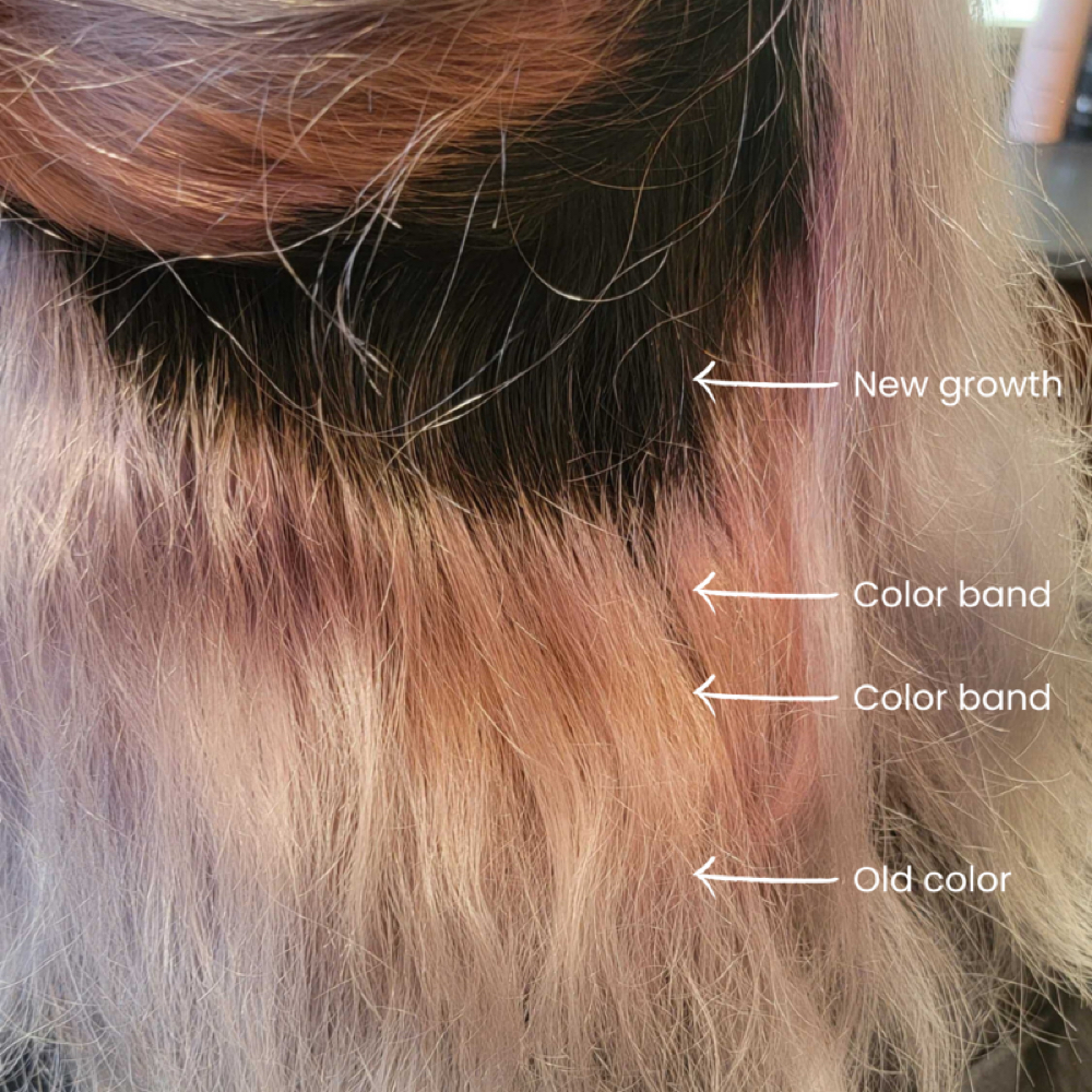 Color Correction at Ldnluxehair in Scottsdale, AZ
