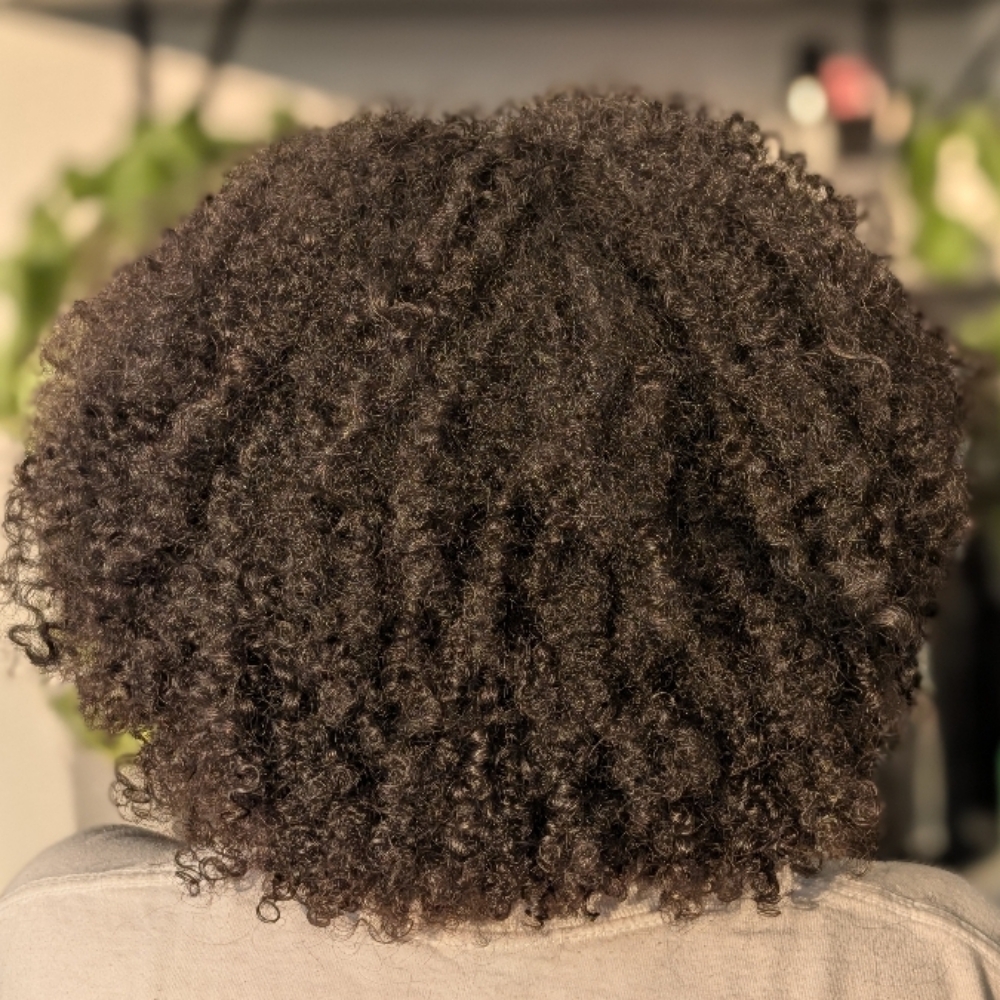 Maintenance Curly Cut at Elevated Curls in Colorado Springs, CO