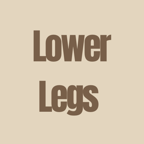Lower Legs