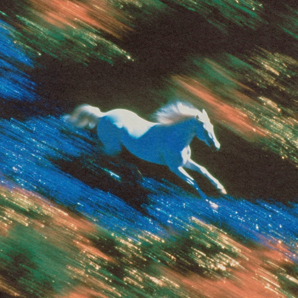 60 minute session at Luma Bodywork in Nashville, TN