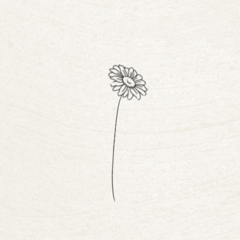 Daisy