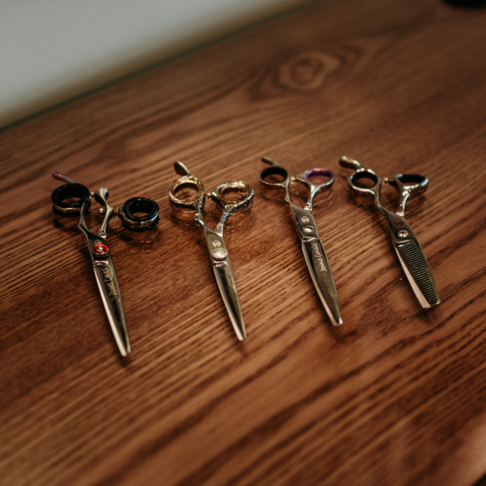 Haircut at Styled Studio in Schenectady, NY