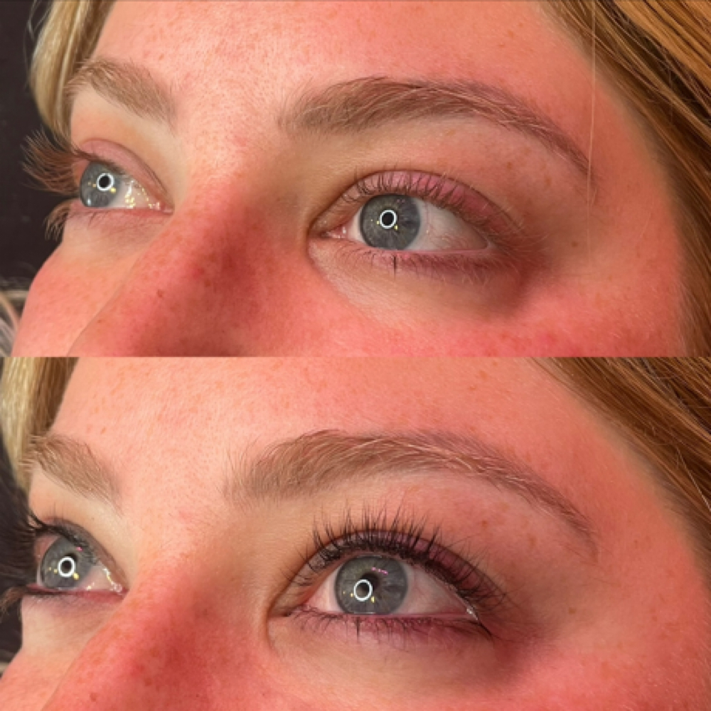Lash Tint Only at Velvet Arch studio in Southgate, MI