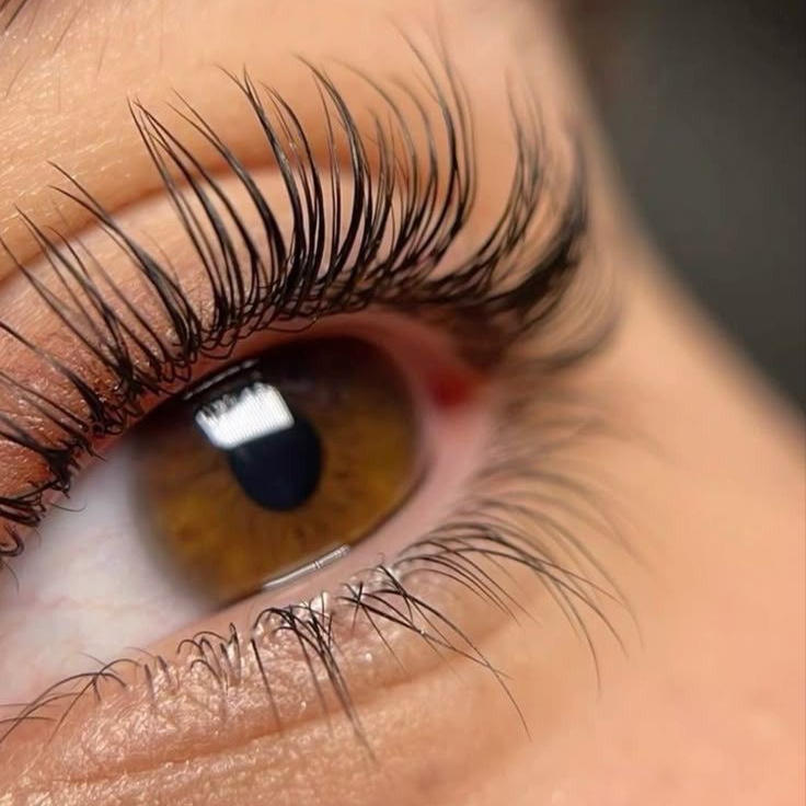 Lash Lift at Treatments by Rebekah Linnane in Auburn, CA