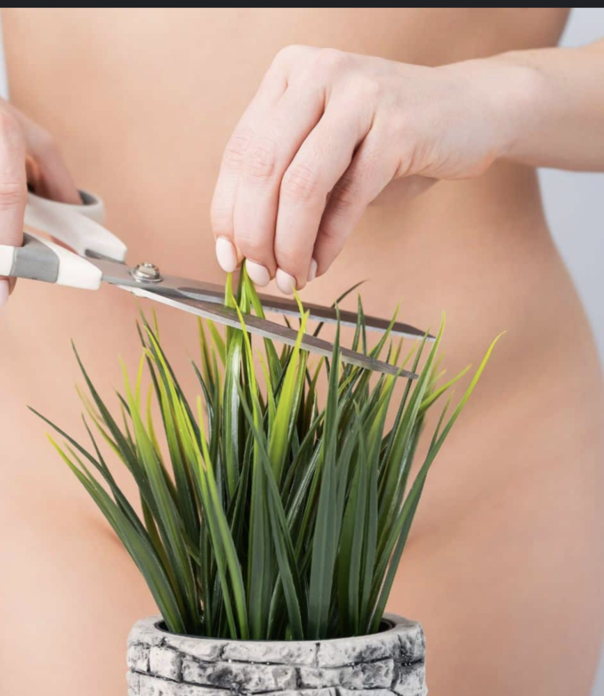 -Existing Client Brazilian Wax