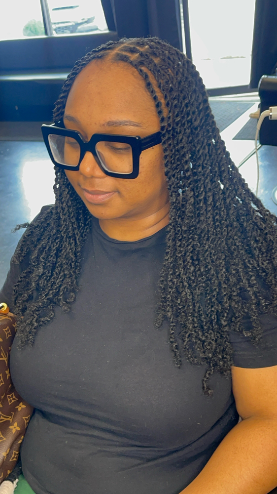 Mini Twists With Extensions