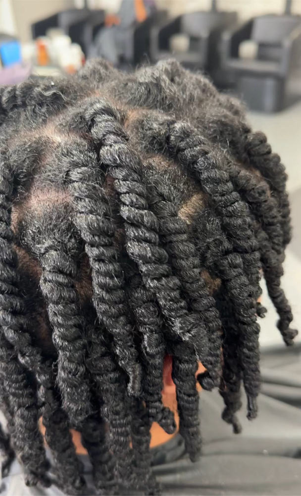 Spring Twist