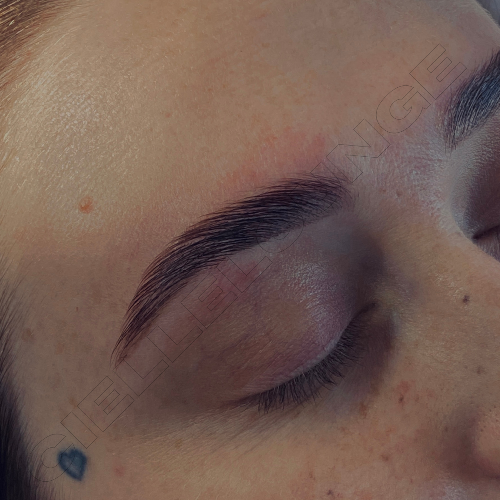 Brow Lamination & Hybrid Brow Tint