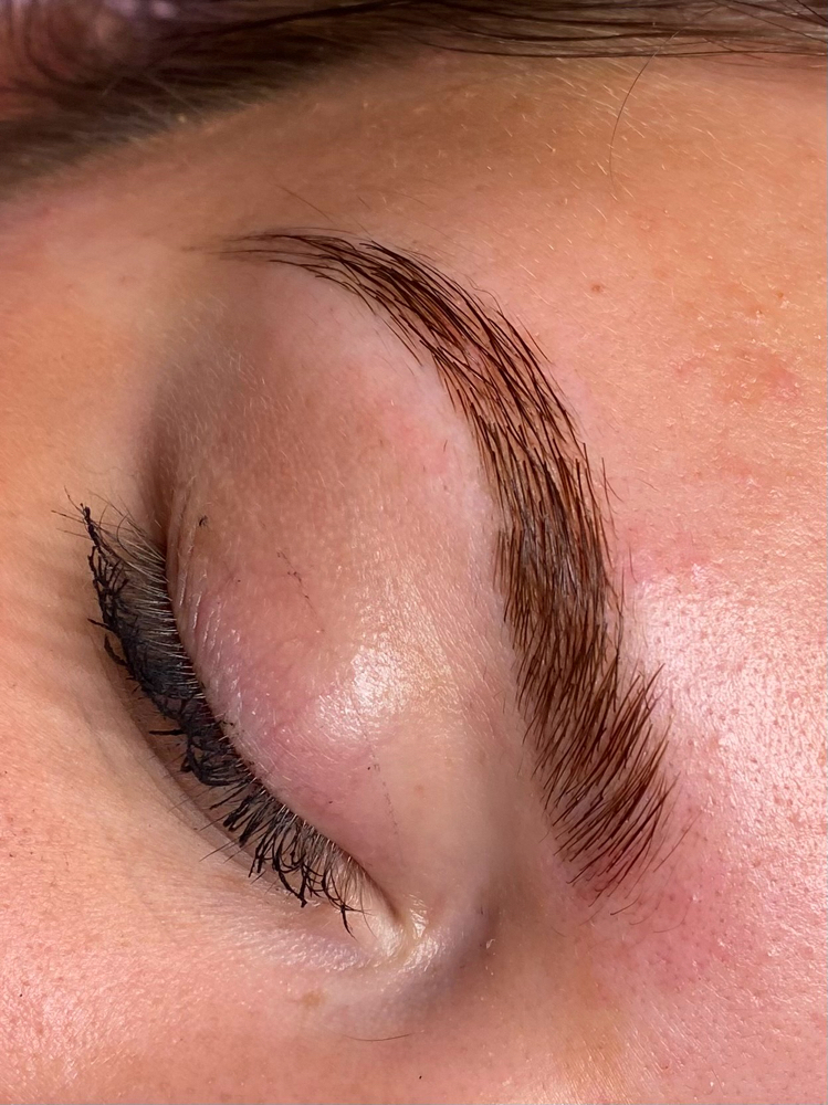 Brow Wax & Shape