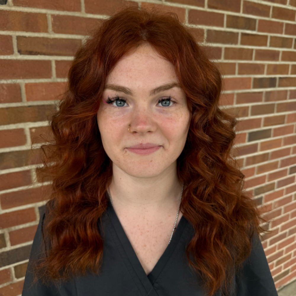 Root-to-end color at Limitless Salon & Spa in Edinburgh, IN
