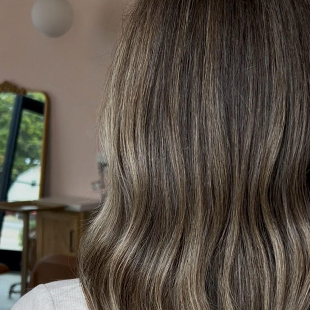 North Willow Blow Out at Emma Turner in Morton, IL