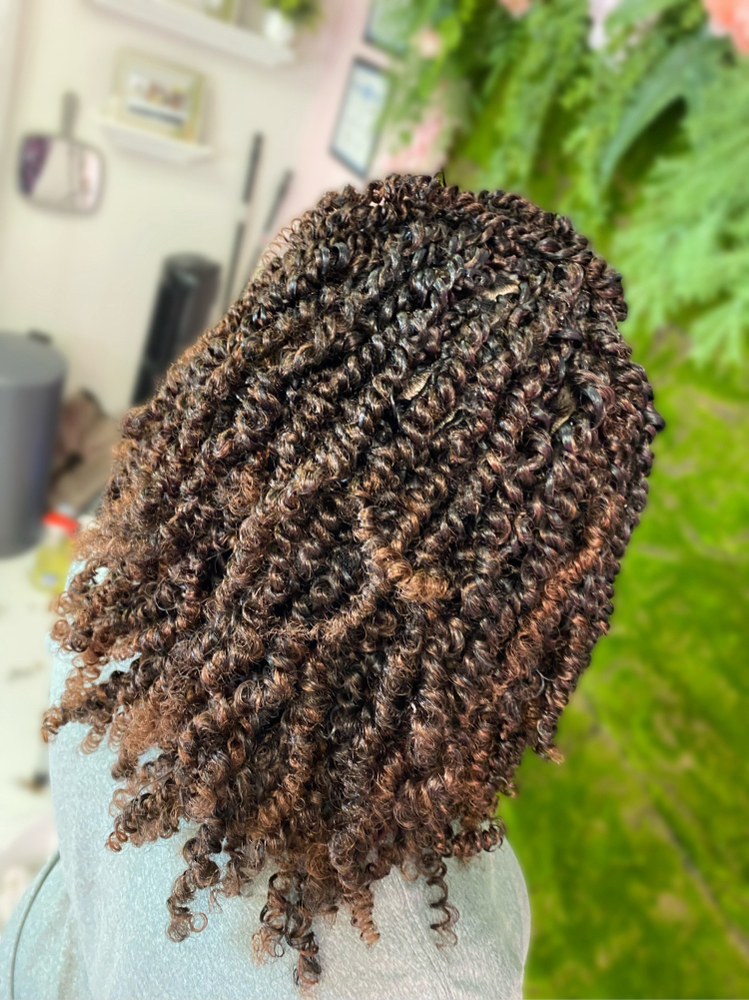 Spring Twists 12-14 Inches