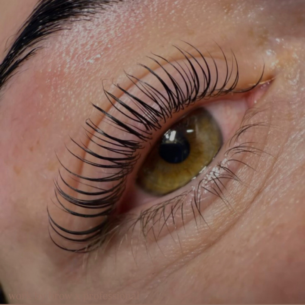 ✨ The Haus Lift ✨(Lash Lift & Tint) at Haus of Lashes in Weymouth, MA