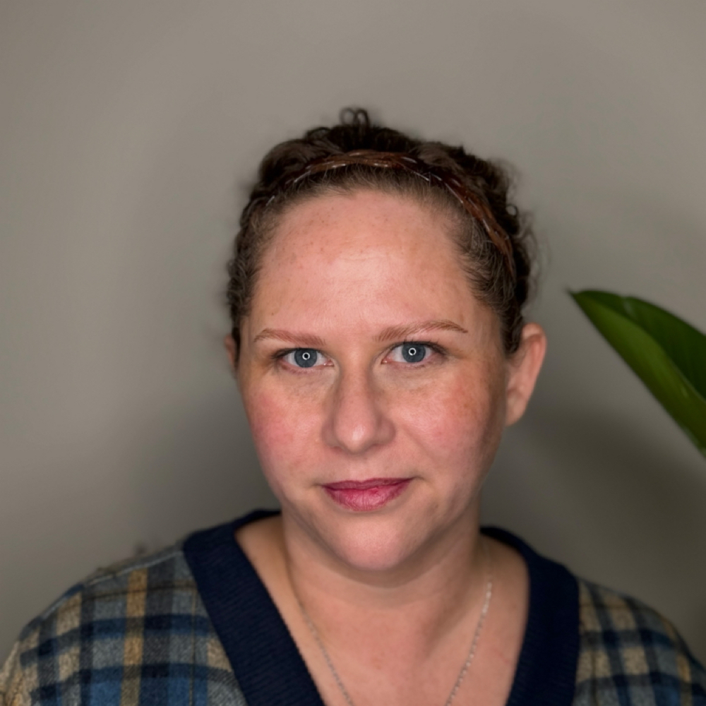 Nano brows ( 1 Session)