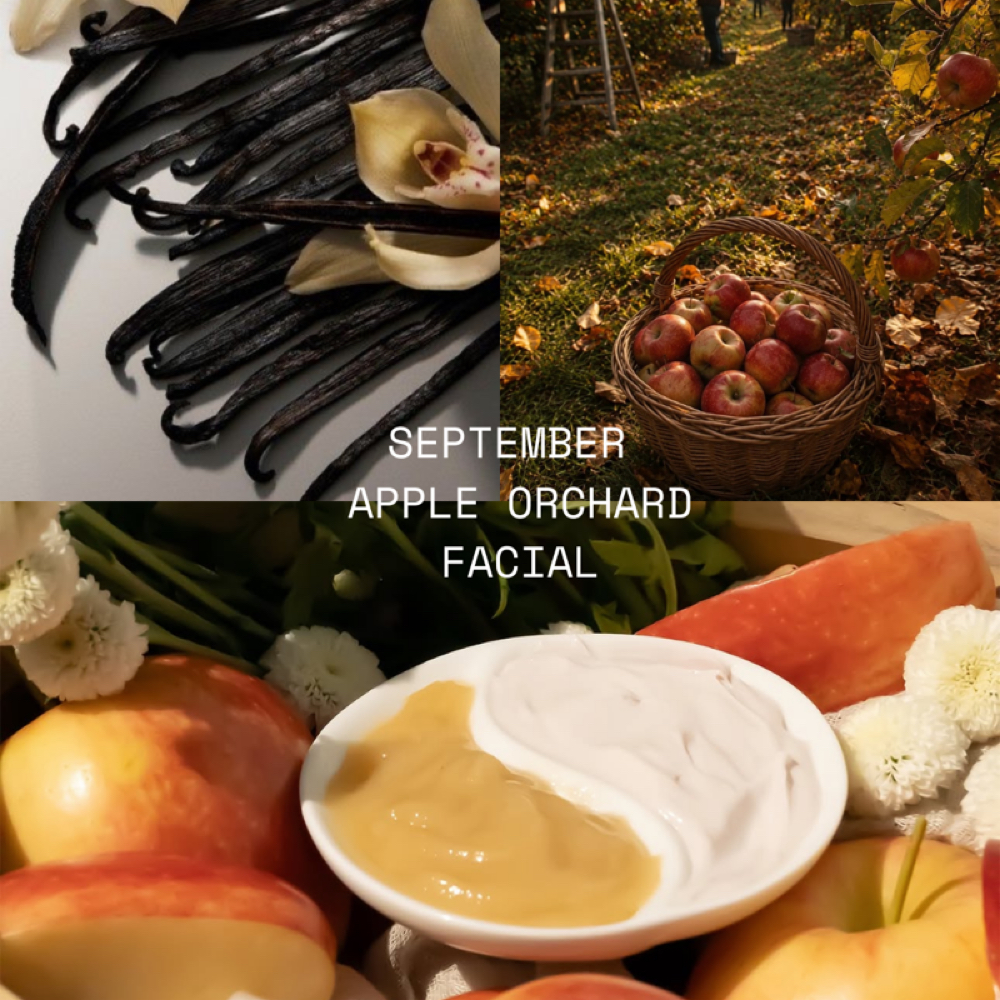 September Apple Orchard Facial at 121 Studio in Marshall, IL