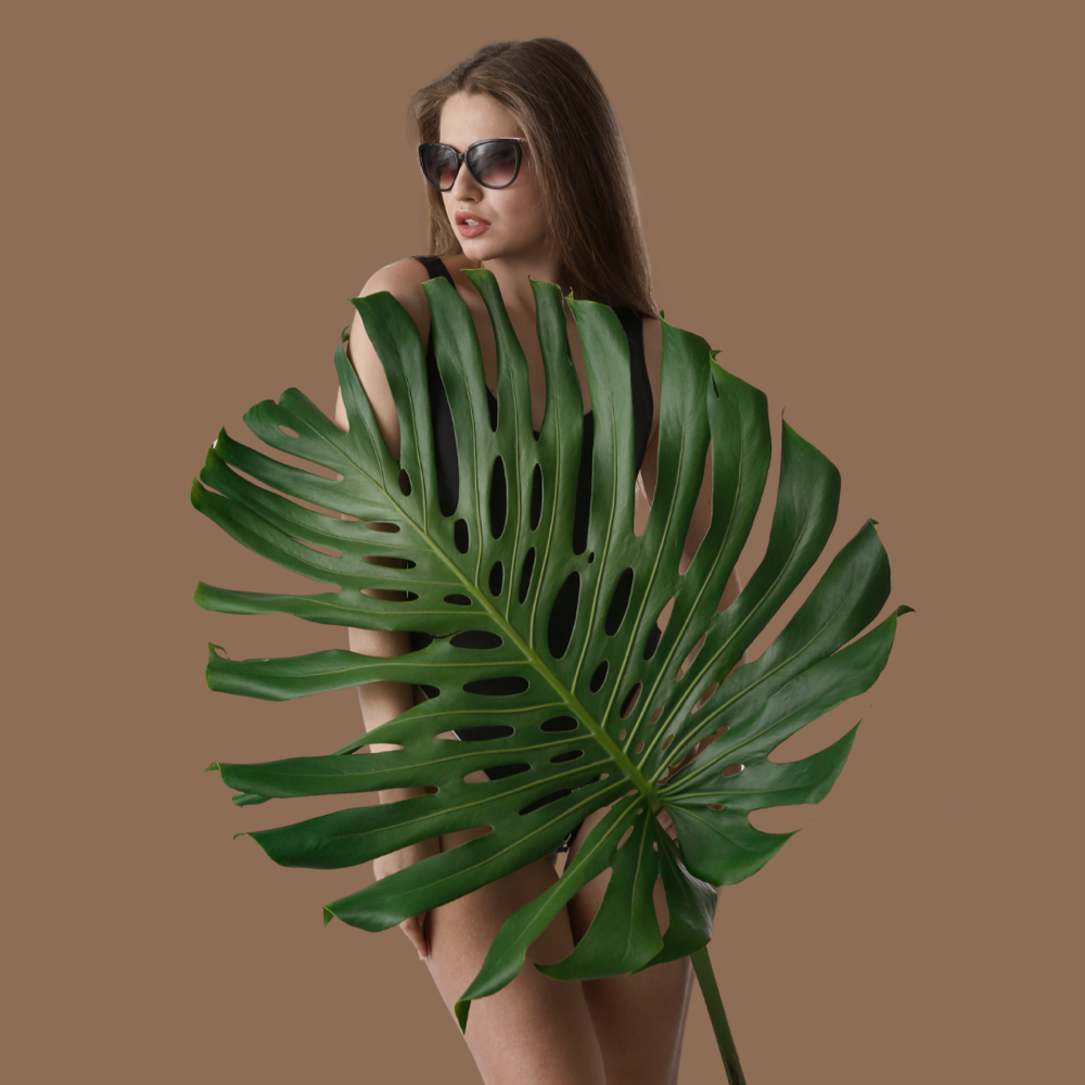 Hollywood Add-On *Women’s Brazilian