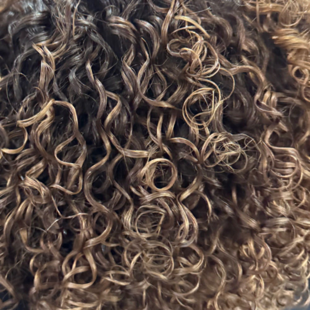 curly color refresh at Thaiz Hair in Lakeland, FL