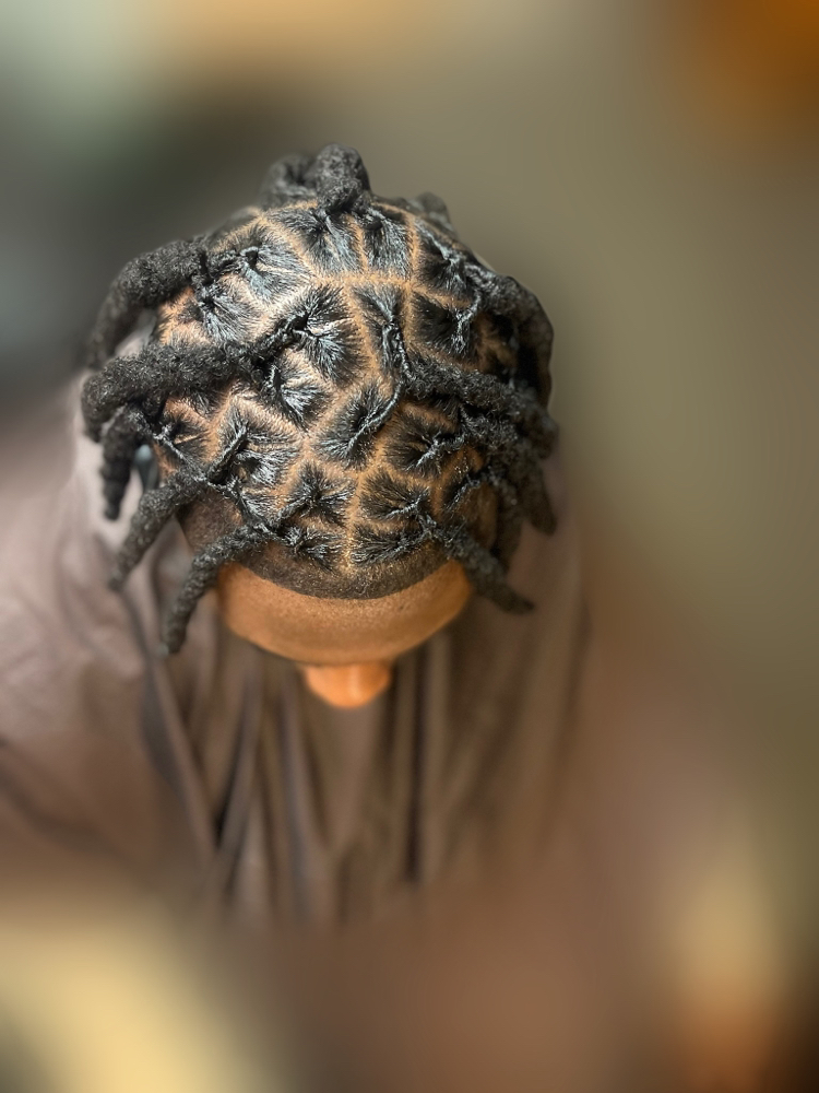 Loc Grooming: Interloc
